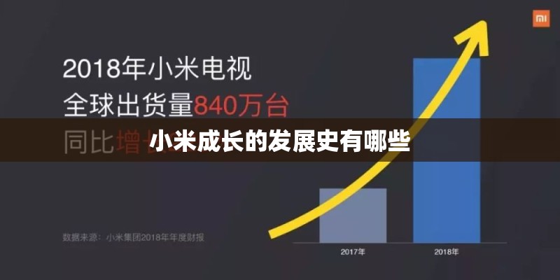 小米成长的发展史有哪些