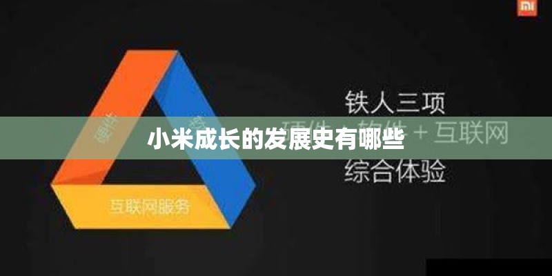 小米成长的发展史有哪些