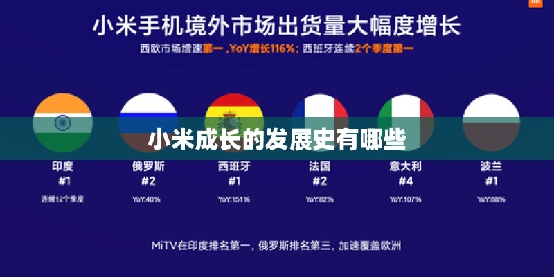 小米成长的发展史有哪些