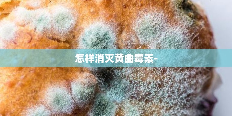 怎样消灭黄曲霉素-