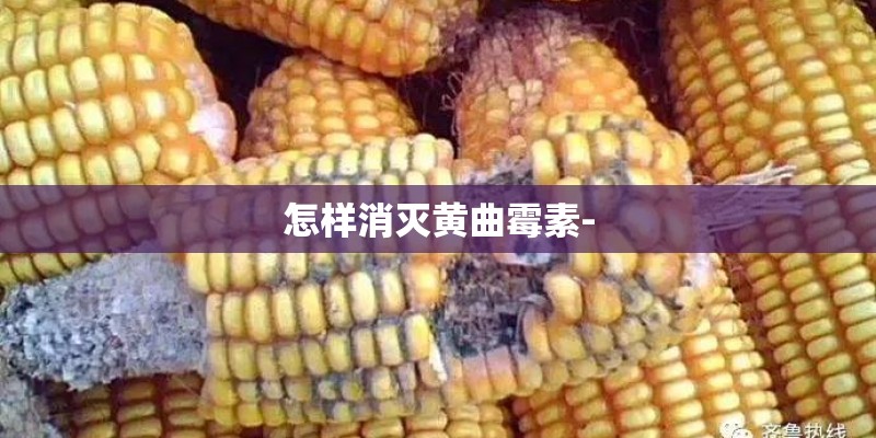 怎样消灭黄曲霉素-