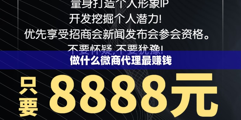 做什么微商代理最赚钱