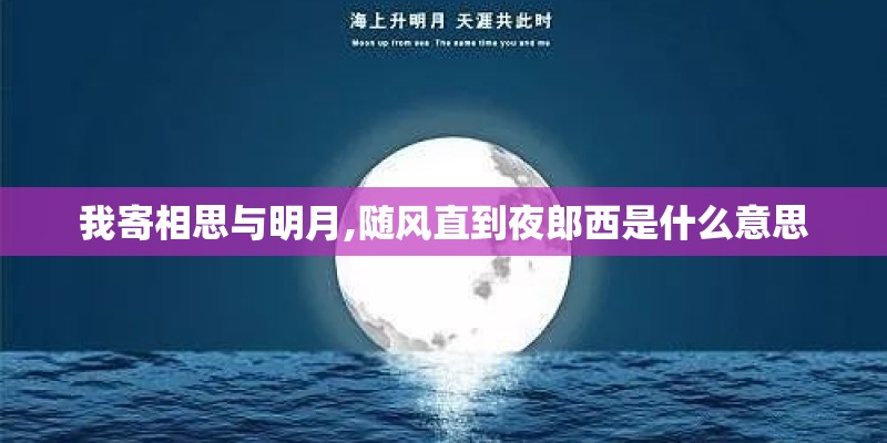 我寄相思与明月,随风直到夜郎西是什么意思
