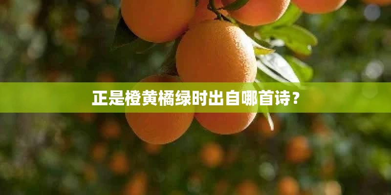 正是橙黄橘绿时出自哪首诗？