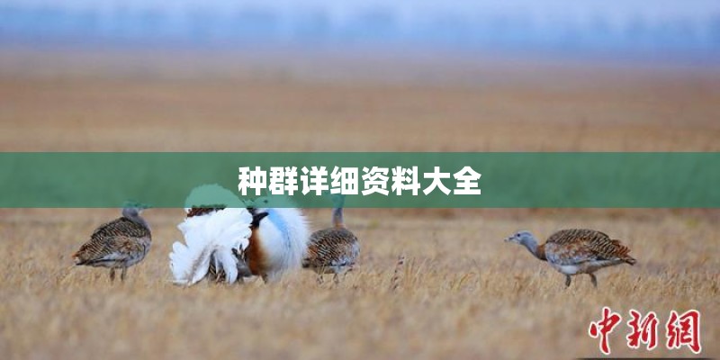 种群详细资料大全