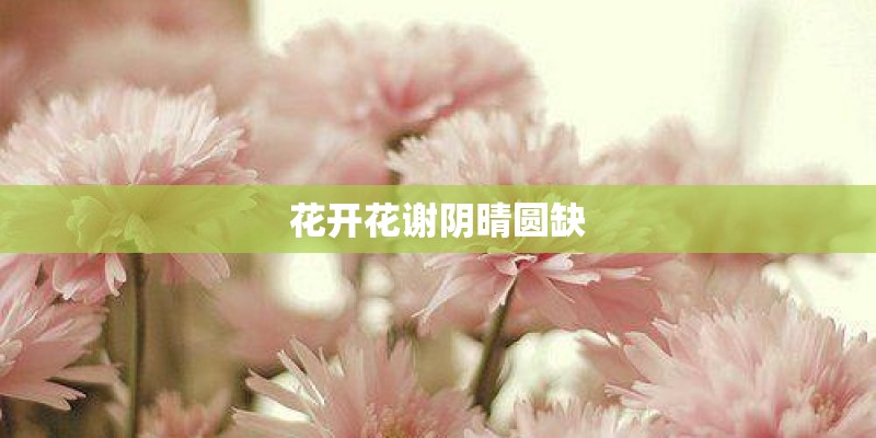 花开花谢阴晴圆缺