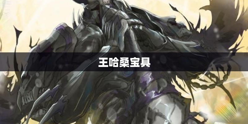 王哈桑宝具