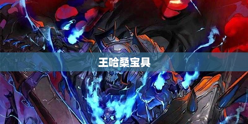 王哈桑宝具