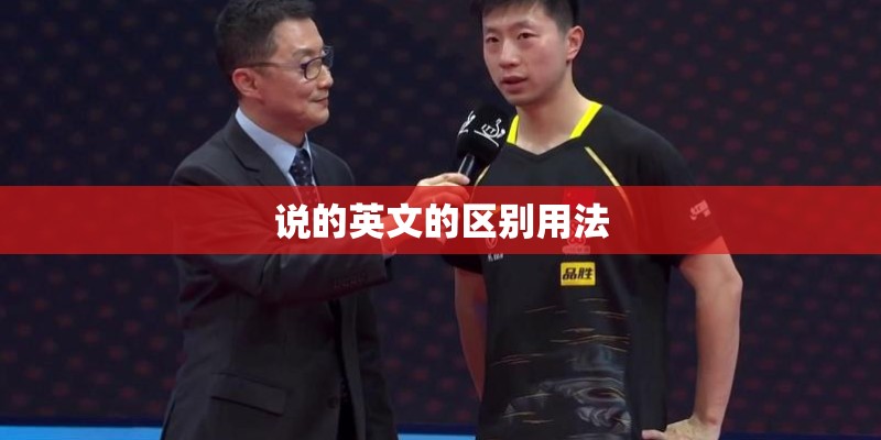 说的英文的区别用法