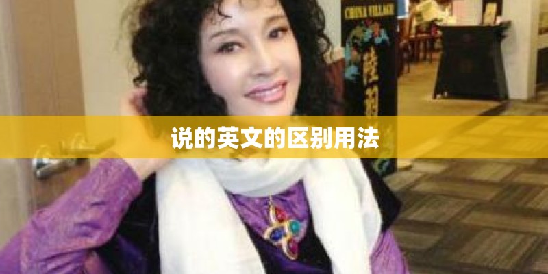 说的英文的区别用法