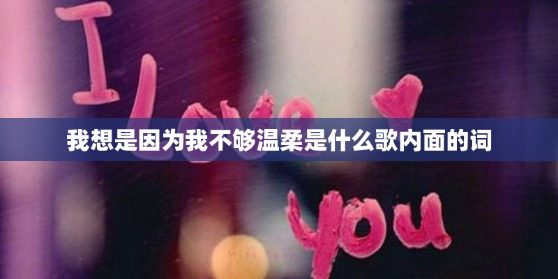 我想是因为我不够温柔是什么歌内面的词