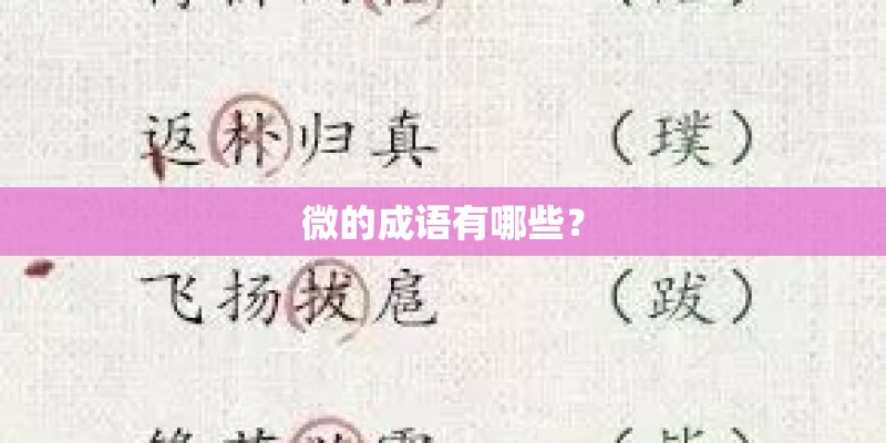 微的成语有哪些？