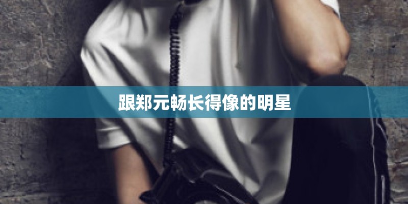 跟郑元畅长得像的明星
