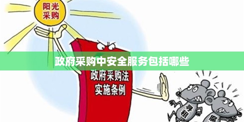 政府采购中安全服务包括哪些