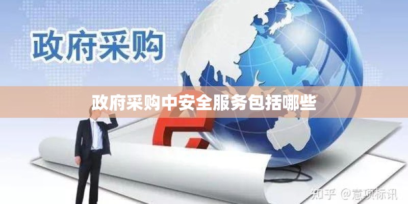 政府采购中安全服务包括哪些