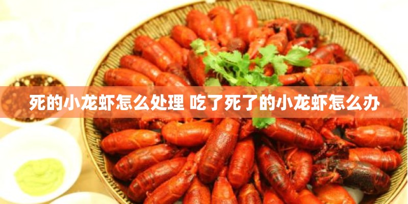 死的小龙虾怎么处理 吃了死了的小龙虾怎么办