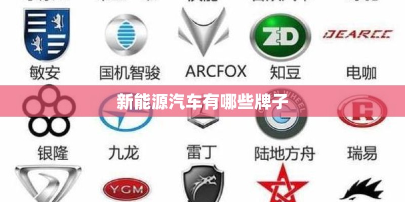 新能源汽车有哪些牌子