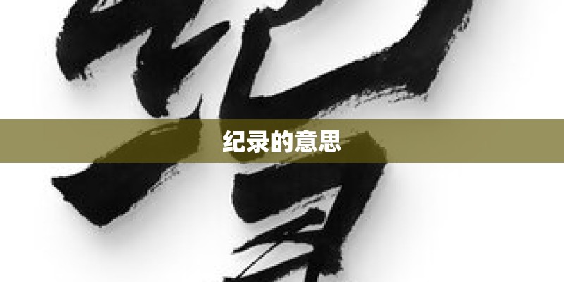 纪录的意思