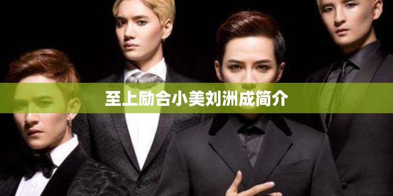 至上励合小美刘洲成简介