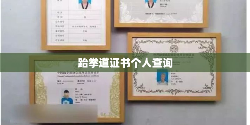 跆拳道证书个人查询