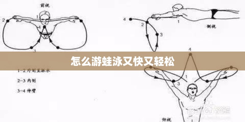 怎么游蛙泳又快又轻松