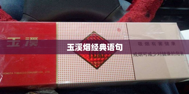 玉溪烟经典语句