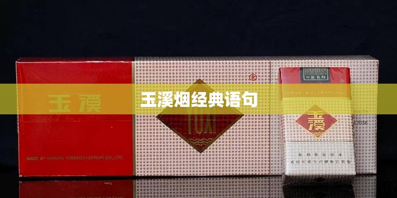 玉溪烟经典语句