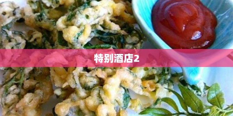 特别酒店2