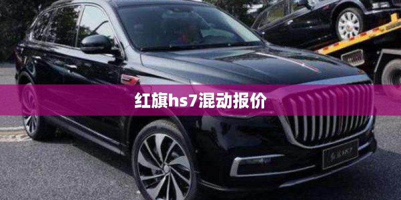 红旗hs7混动报价