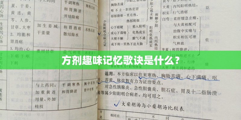 方剂趣味记忆歌诀是什么？