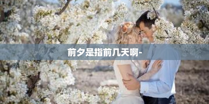 前夕是指前几天啊-