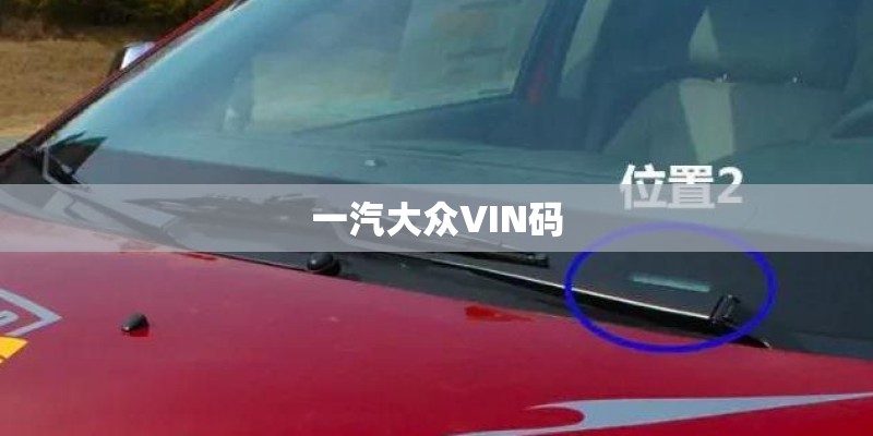 一汽大众VIN码
