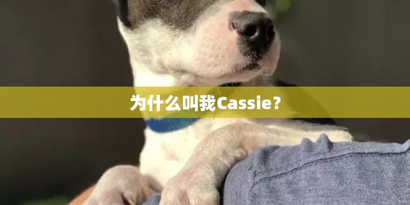 为什么叫我Cassie？