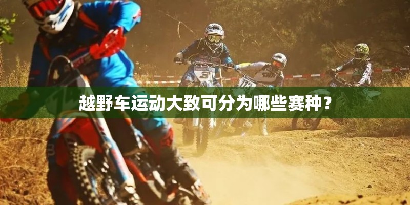 越野车运动大致可分为哪些赛种？