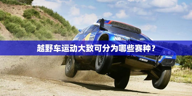 越野车运动大致可分为哪些赛种？