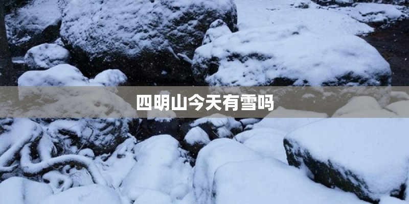 四明山今天有雪吗