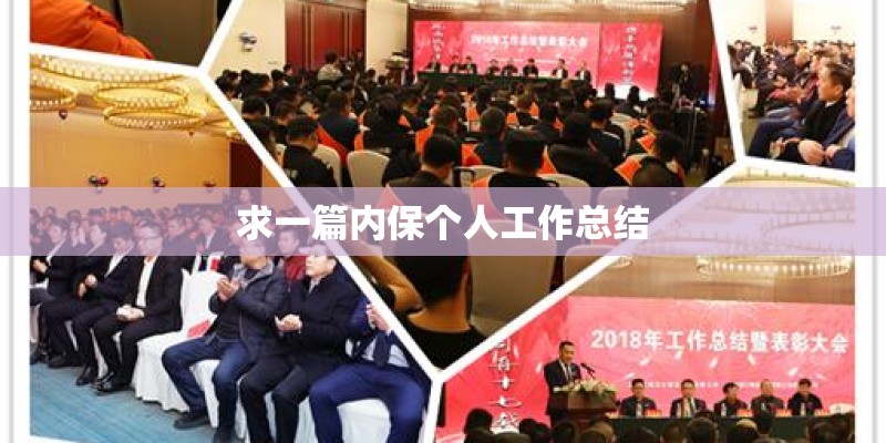 求一篇内保个人工作总结