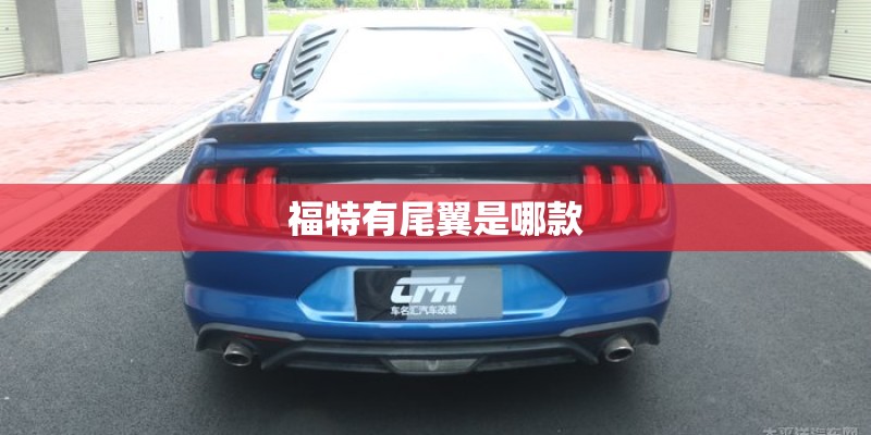 福特有尾翼是哪款