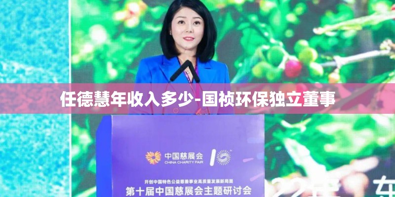 任德慧年收入多少-国祯环保独立董事