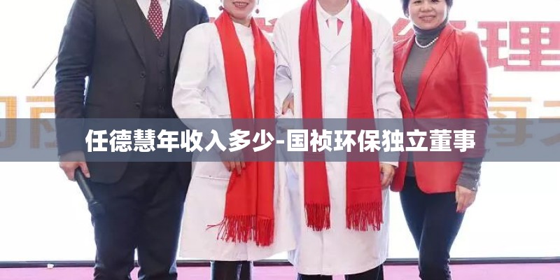 任德慧年收入多少-国祯环保独立董事