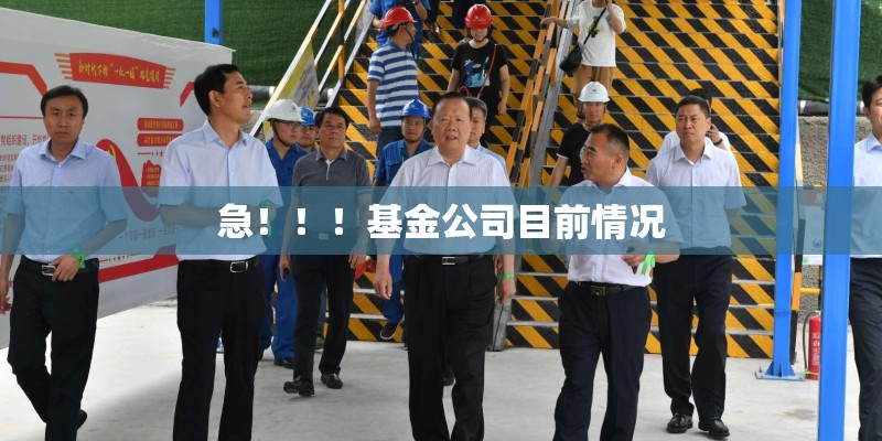 急！！！基金公司目前情况