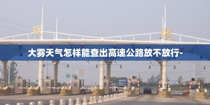 大雾天气怎样能查出高速公路放不放行-