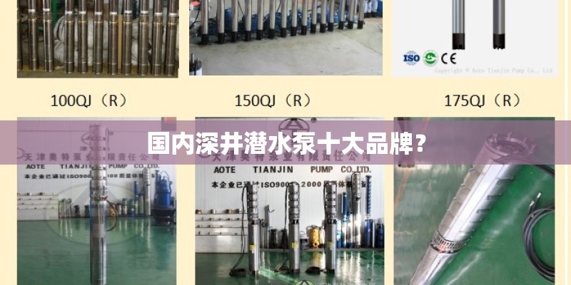 国内深井潜水泵十大品牌？