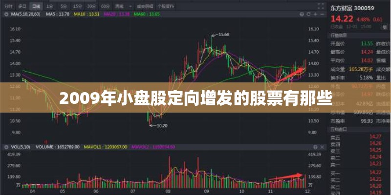 2009年小盘股定向增发的股票有那些 2009年小盘股定向增发的股票有那些