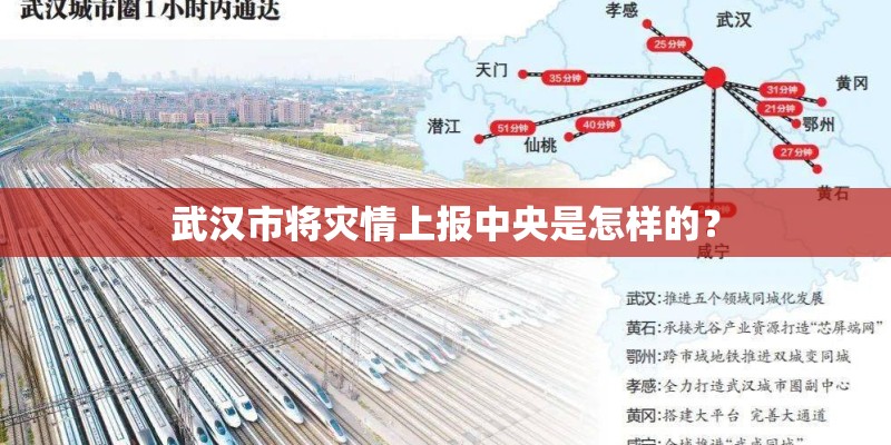 武汉市将灾情上报中央是怎样的？