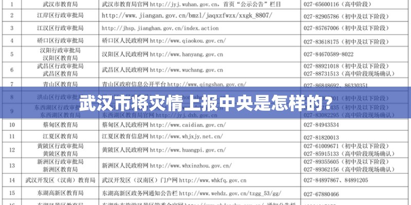 武汉市将灾情上报中央是怎样的？