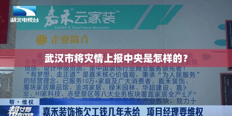 武汉市将灾情上报中央是怎样的？