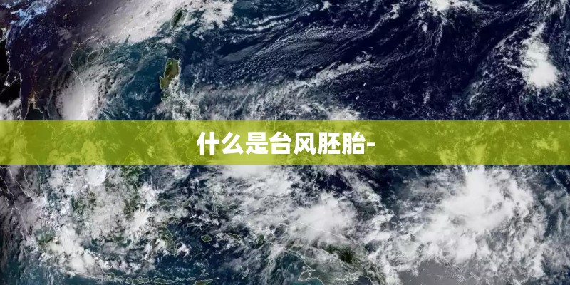 什么是台风胚胎- 什么是台风胚胎-