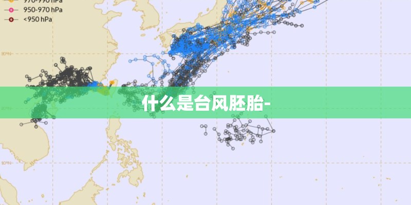 什么是台风胚胎- 什么是台风胚胎-