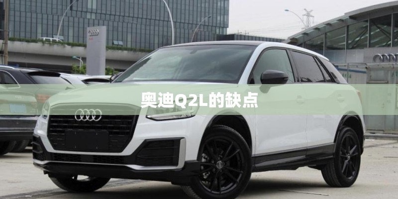 奥迪Q2L的缺点